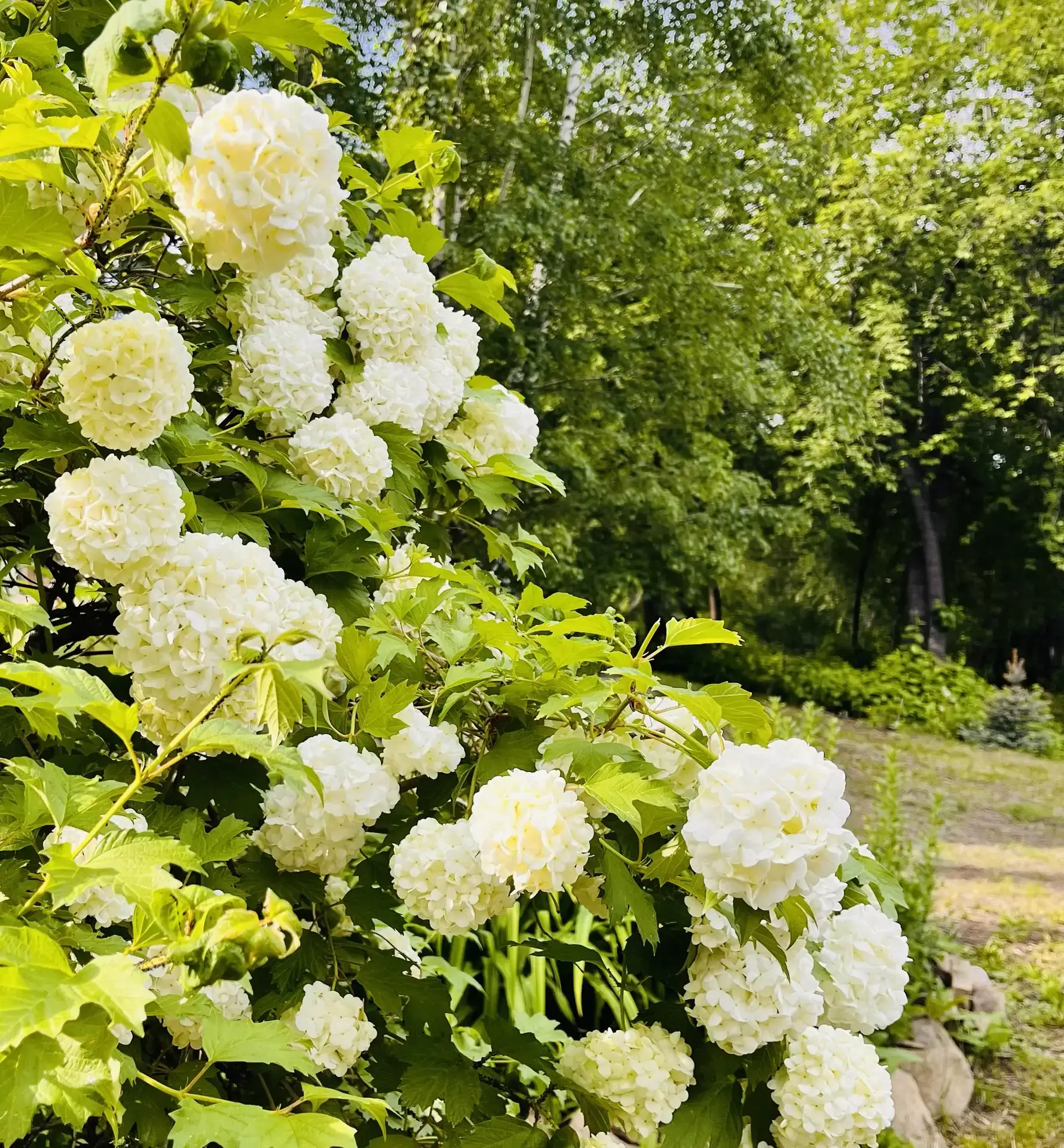 🍮 Доброе утро, дорогие марковчане! 

🌧️ С утра хмуро и дождь, а мы решили порадовать вас этим чудо