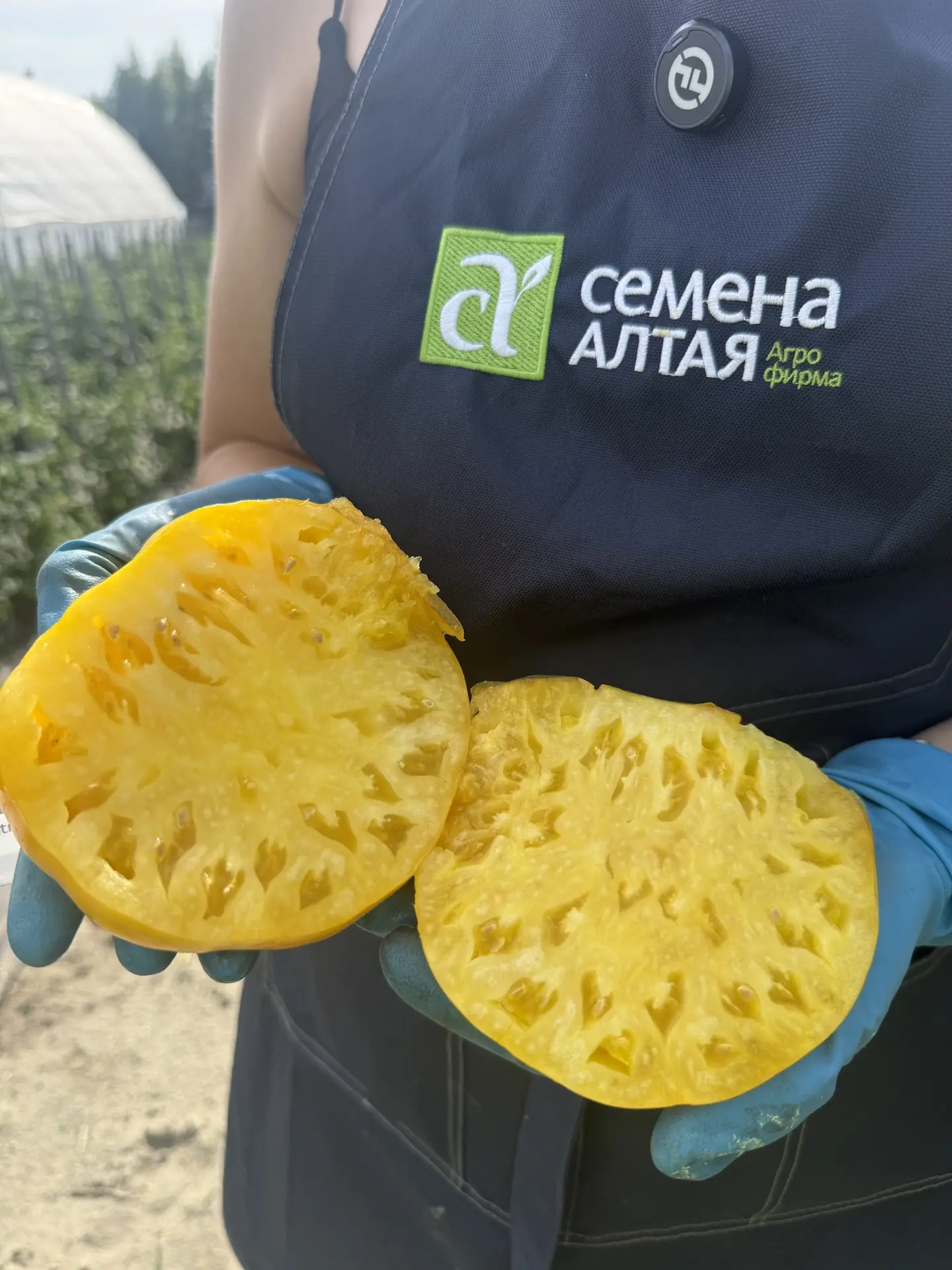 😍Ваше величество
