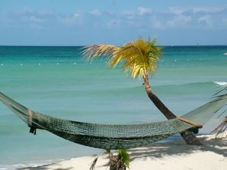 Таиланд, Паттайя 
76 755 р. на 7 дней с 26 июня 2026
Отель: The Mangrove Hotel 3*
Подробнее: https