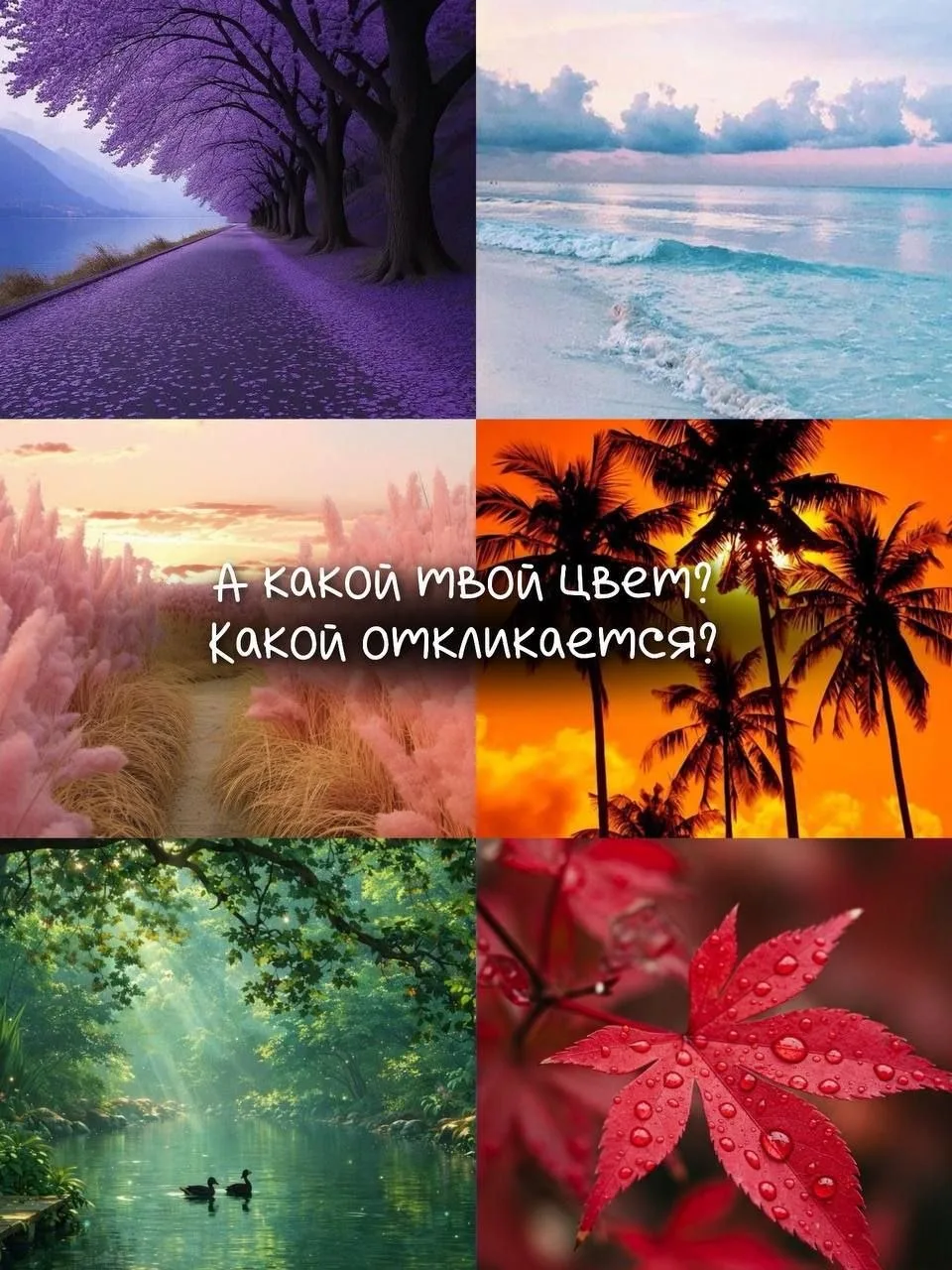 🎨 Цвет, который освещает ваш  жизненный путь !