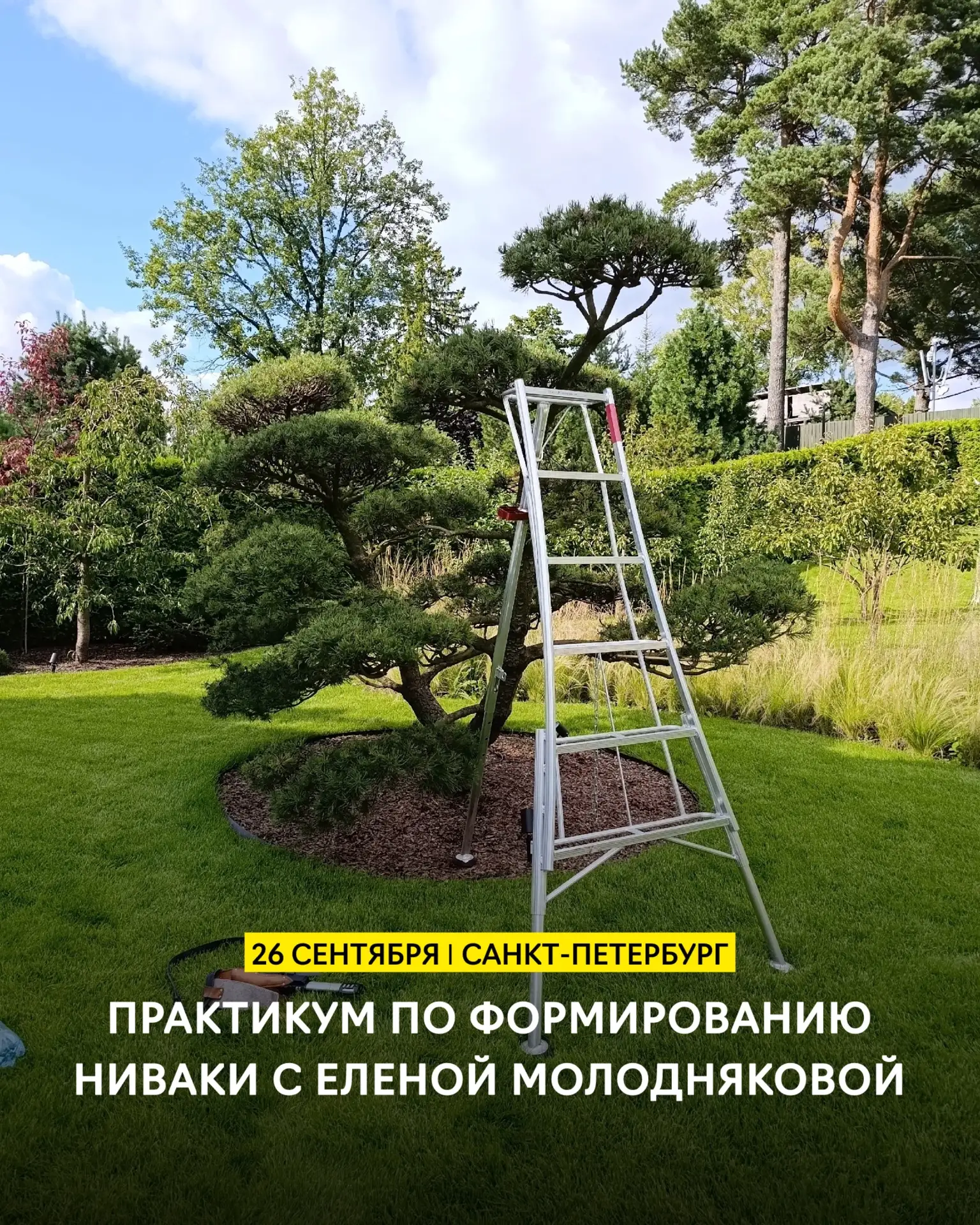 Приглашаем на практикум по искусству ниваки с Еленой Молодняковой! 🌲