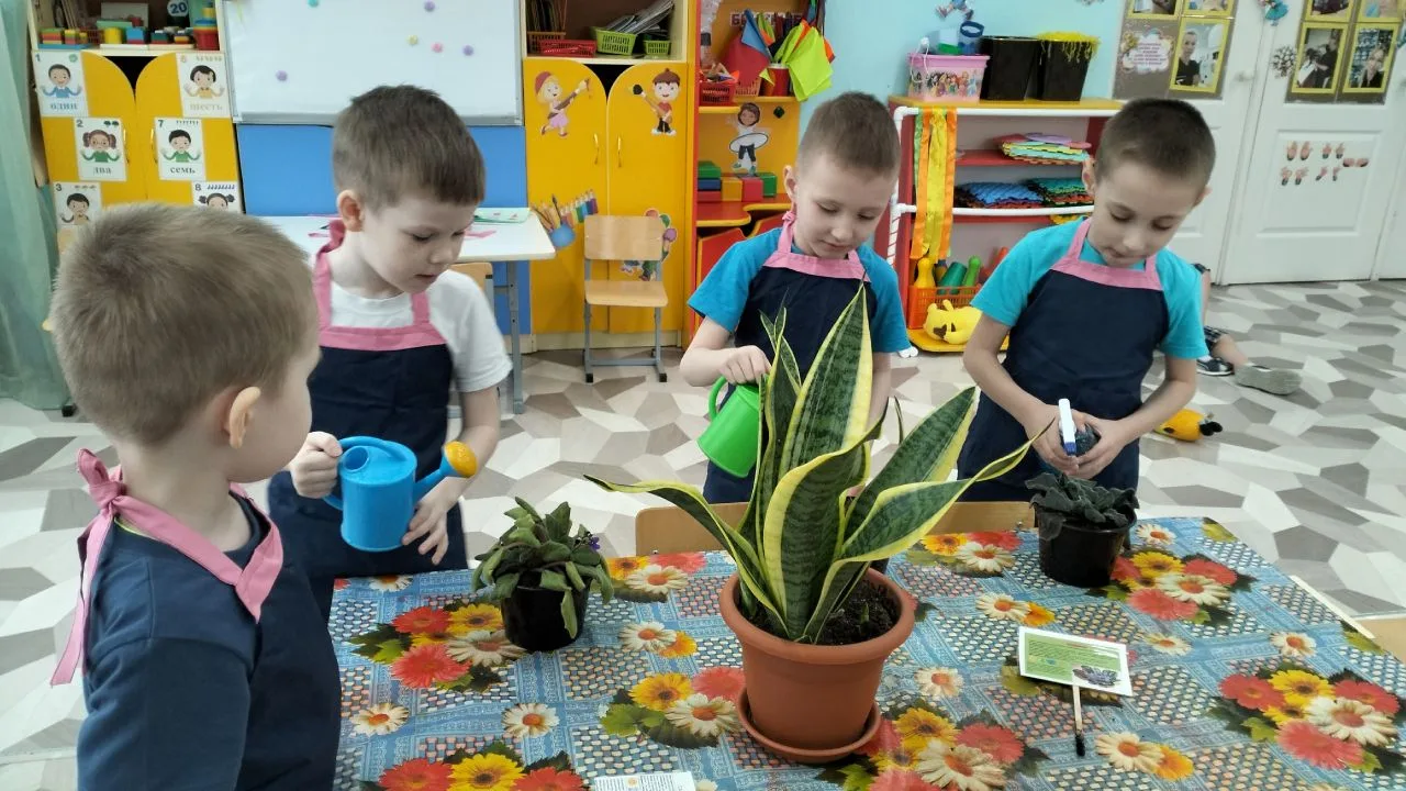 «Зеленый уголок» — это не только украшение группы, но и настоящая школа ответственности...