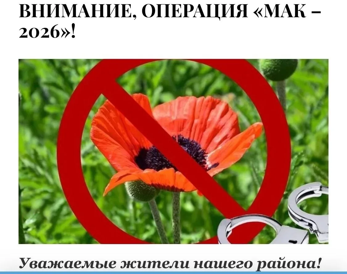 ВНИМАНИЕ, ОПЕРАЦИЯ «МАК – 2026»!