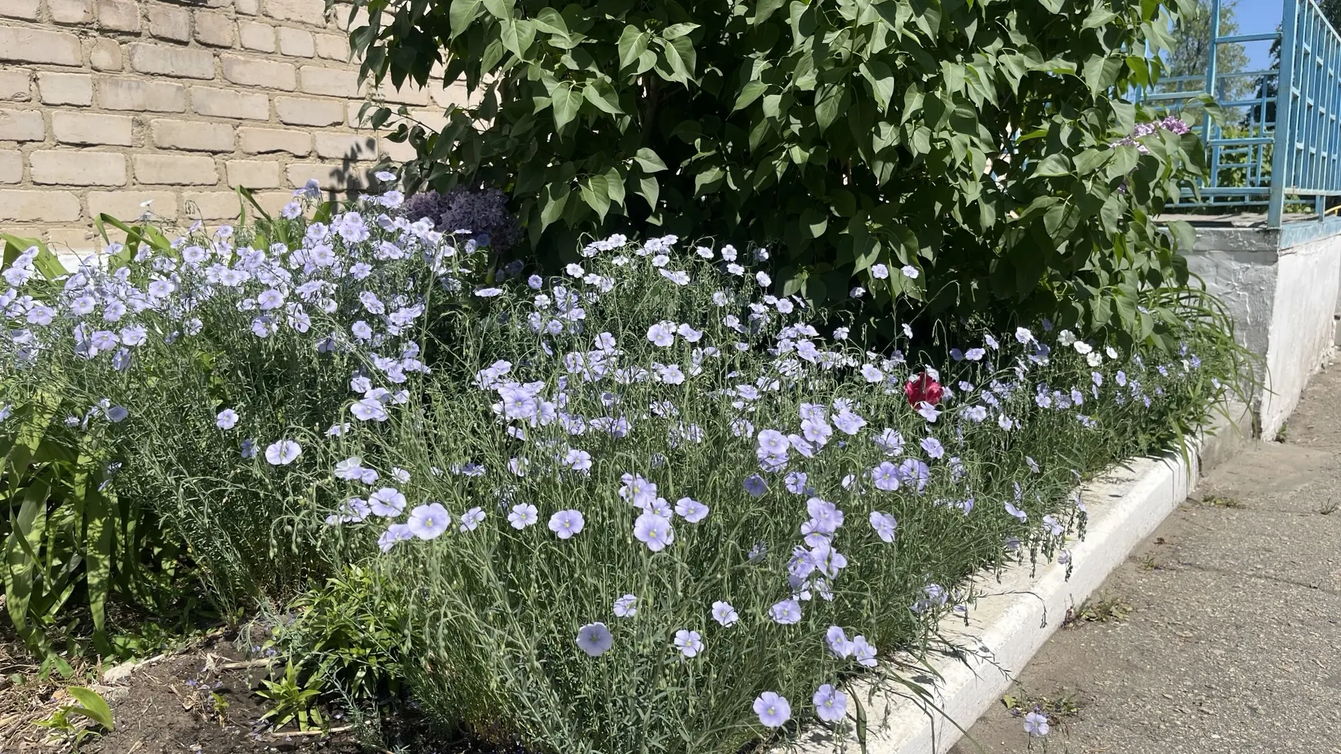 Территория детского сада готовится к лету: состоялся очередной субботник! 🌸🌿