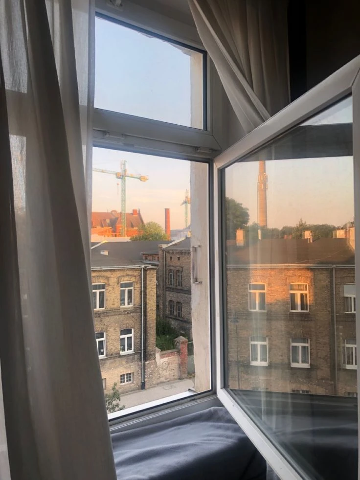Мне дали памятку, как голосовать удалённо. Там написано "откройте сайт и ждите пока заг...