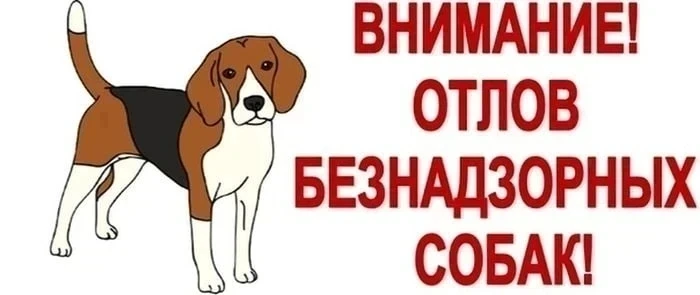 ⚠️ ВНИМАНИЕ: ОТЛОВ СОБАК

Продолжаем работу по регулированию численности бродячих собак.

На 10 июня