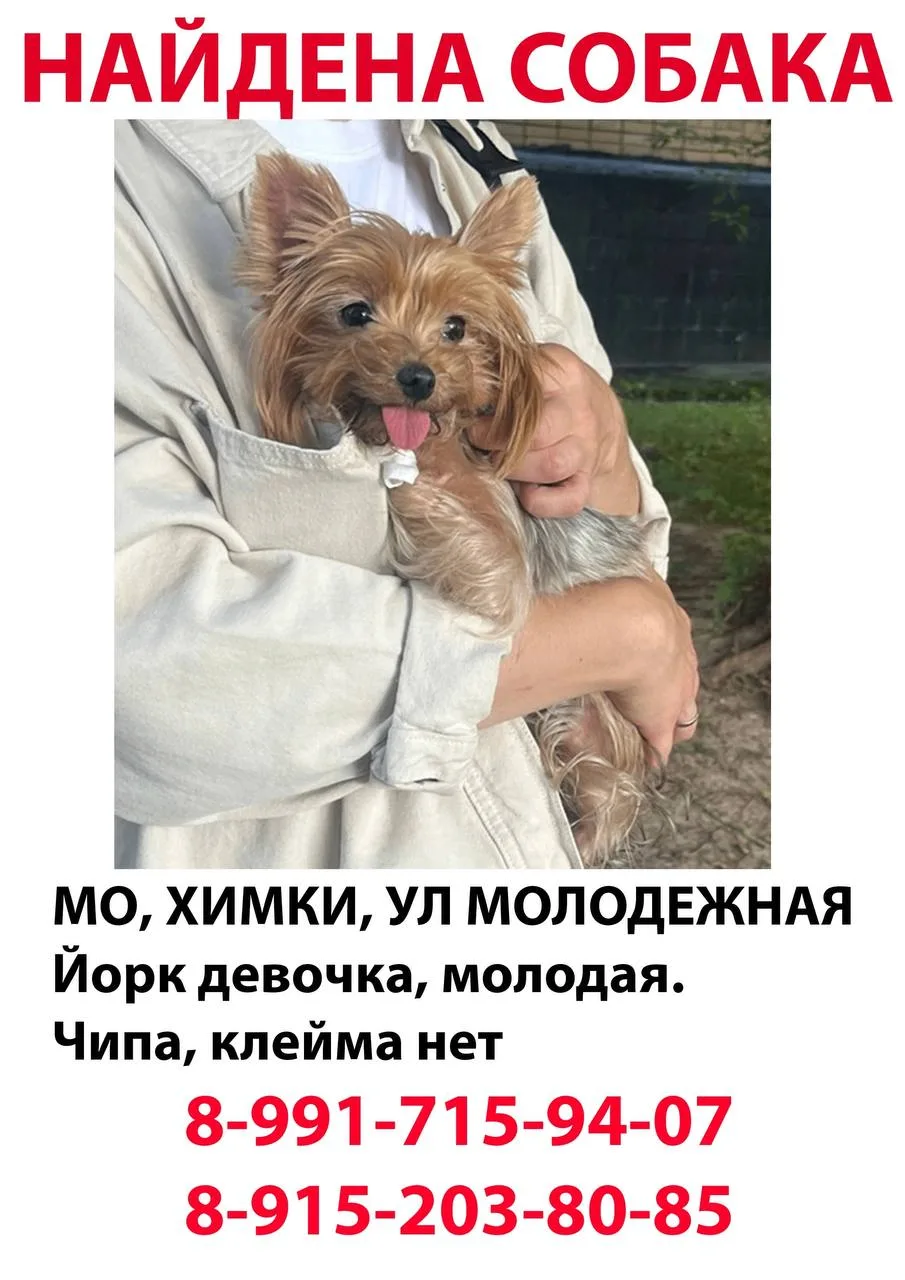 Пока искали Листика, нашли такое, девочки вытащили буквально из под машины, есть ранка....