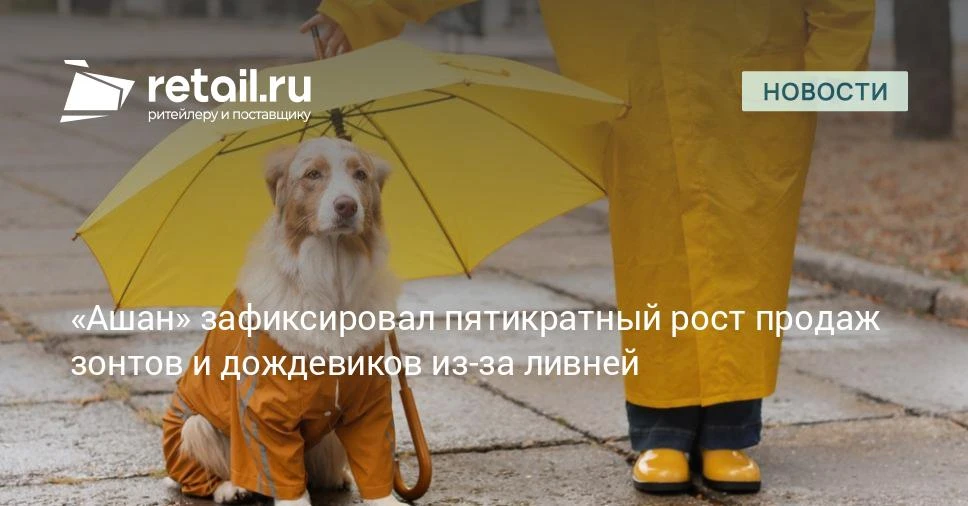 Непогода подняла продажи зонтов в «Ашане» в 5 раз.