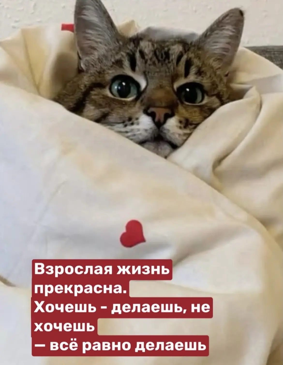 Тётя Фанни