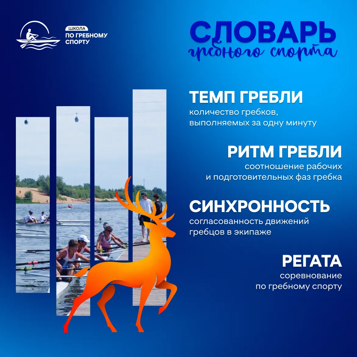 Когда важны темп, ритм и команда 🚣‍♂️