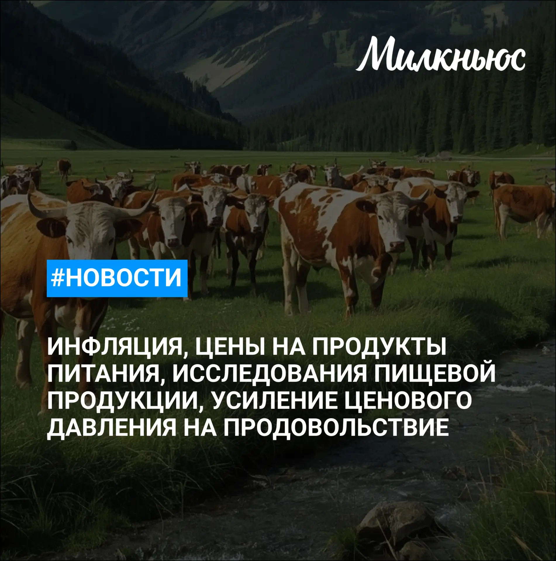 🐮 Инфляция в России с 2 по 8 июня 2026 года составила 0,2%

🐮 Цены на продукты питания в России в 