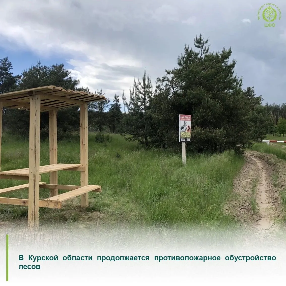 «С начала пожароопасного сезона в лесах региона было устроено порядка 33 км новых минер...