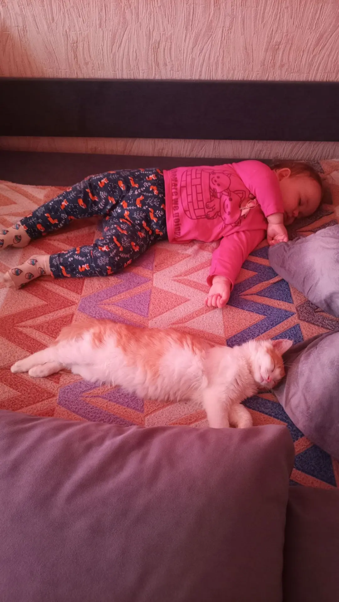 🐈❤