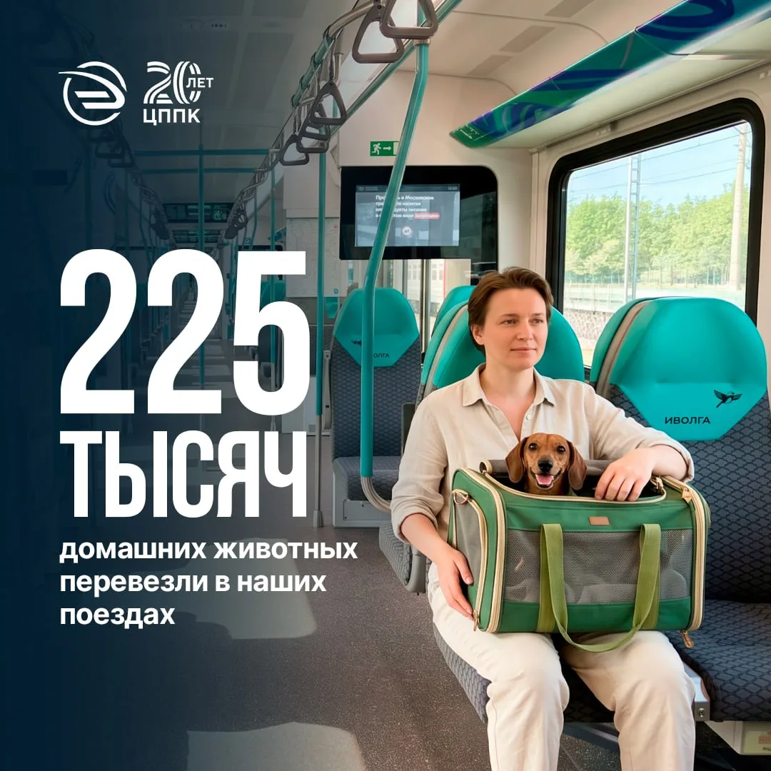 🐶 Хвостатый рейс

Поездки всегда приятнее в хорошей компании. И, судя по статистике, пассажиры с эт