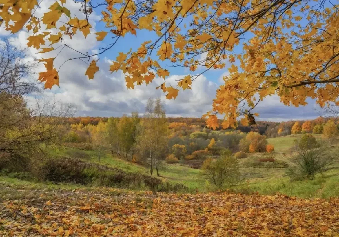 ⛅️ Завершение недели в Курской области пройдёт без осадков.
