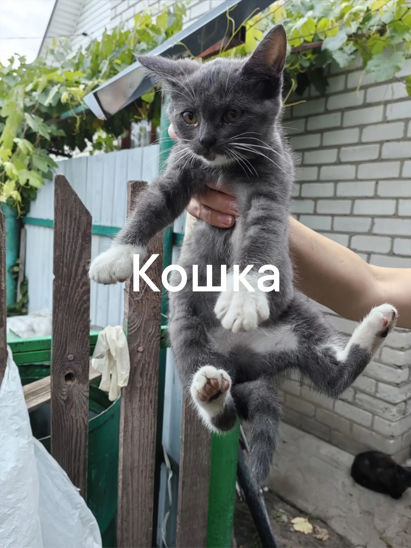 Изображение 6 к публикации «anka_provincialka»