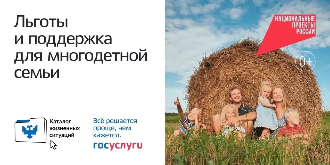 Госуслуги в 2026 году: от разрозненных сервисов к «жизненным ситуациям» 📲