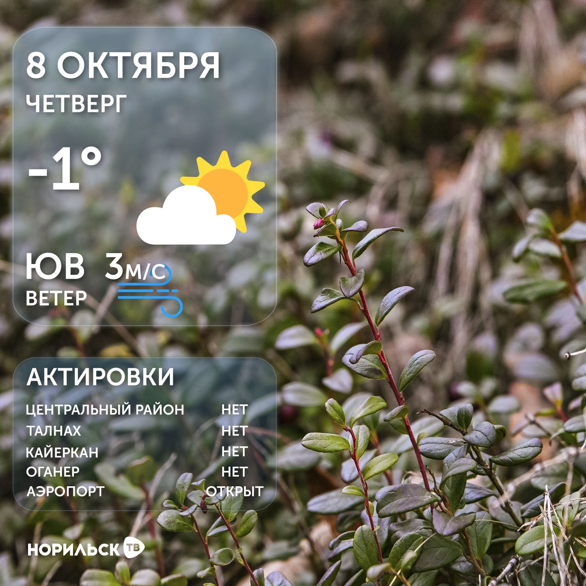Погода 8.10.2026