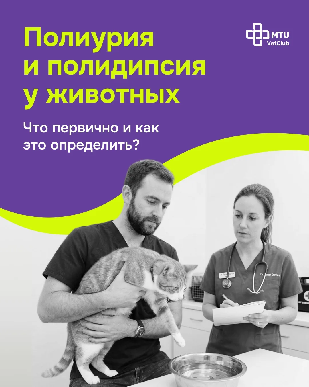 Что появилось раньше: полиурия или полидипсия?