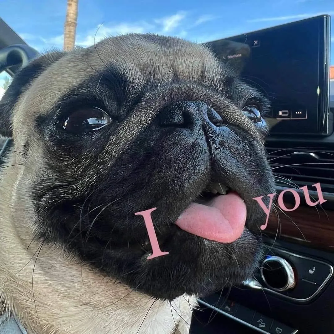 *отправляй тому, кого очень сильно любишь <3