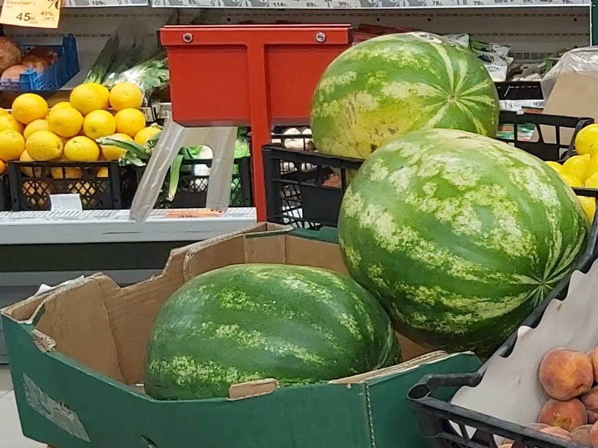 Калининградскую область кормят арбузами со всего мира 🍉