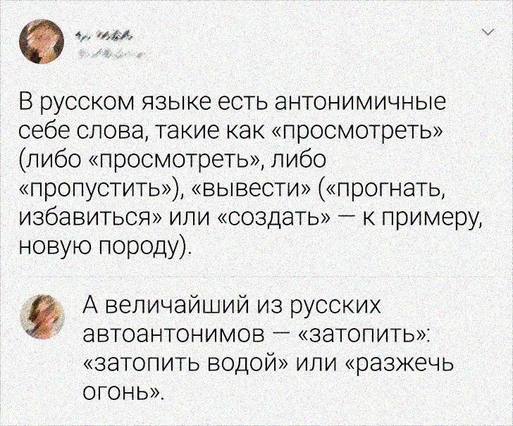 Изображение 1 к публикации «Словарный запас»