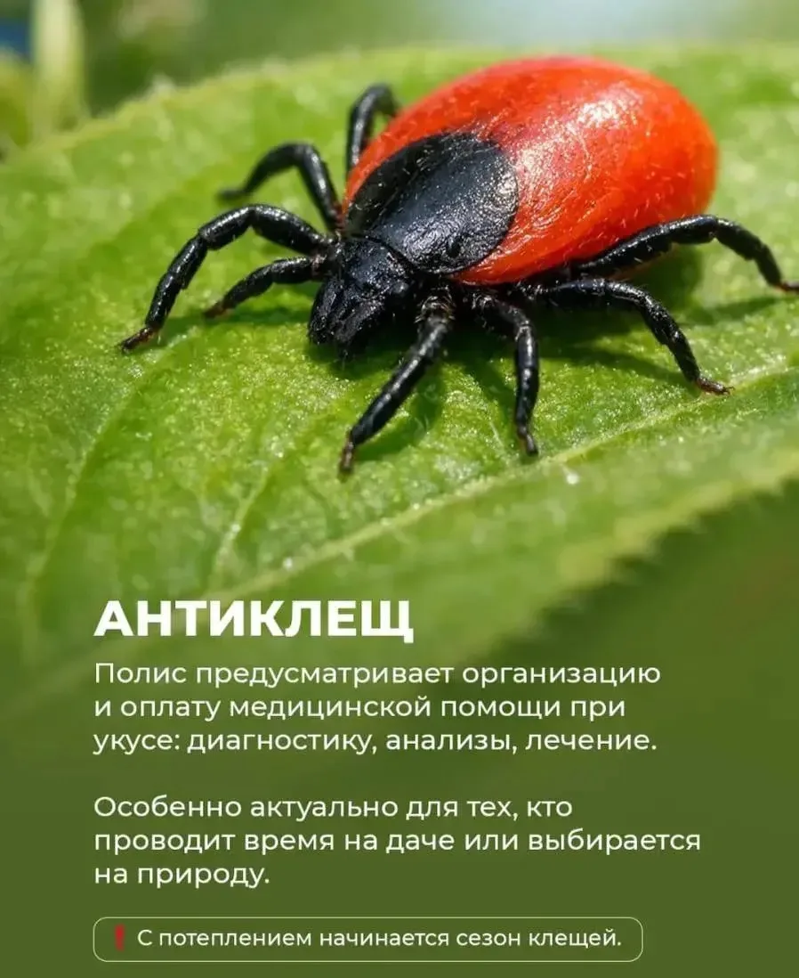 На этой неделе принимаю заявки по страхованию, у кого есть желание,