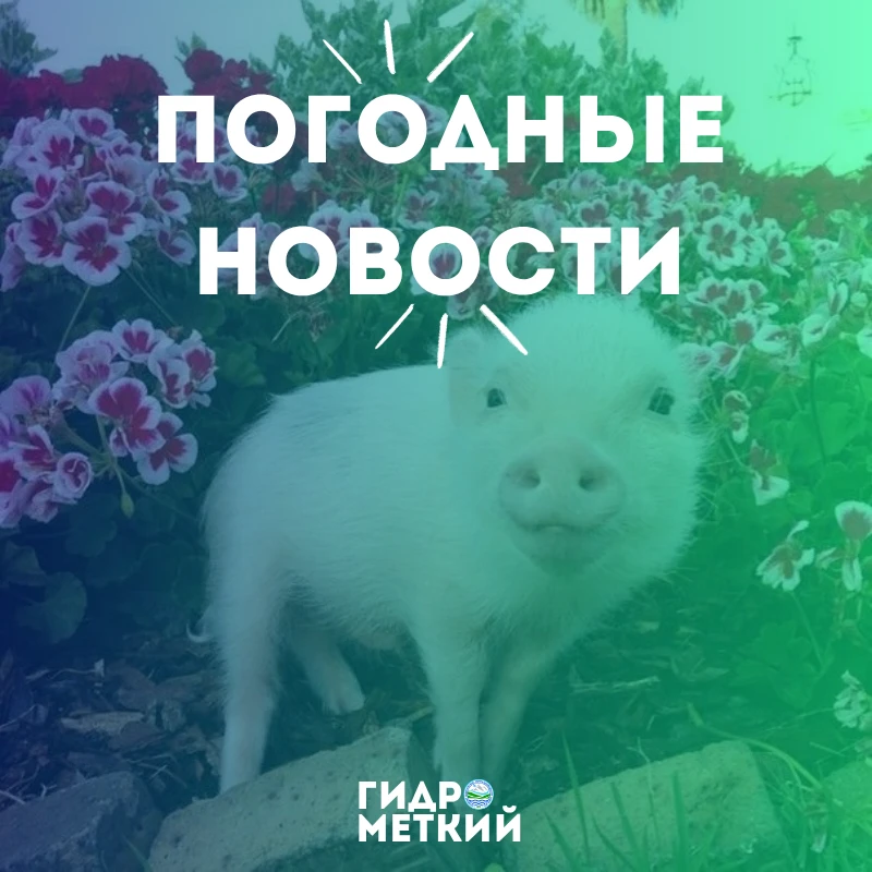 💥 Доброе утро, Гидромет!
