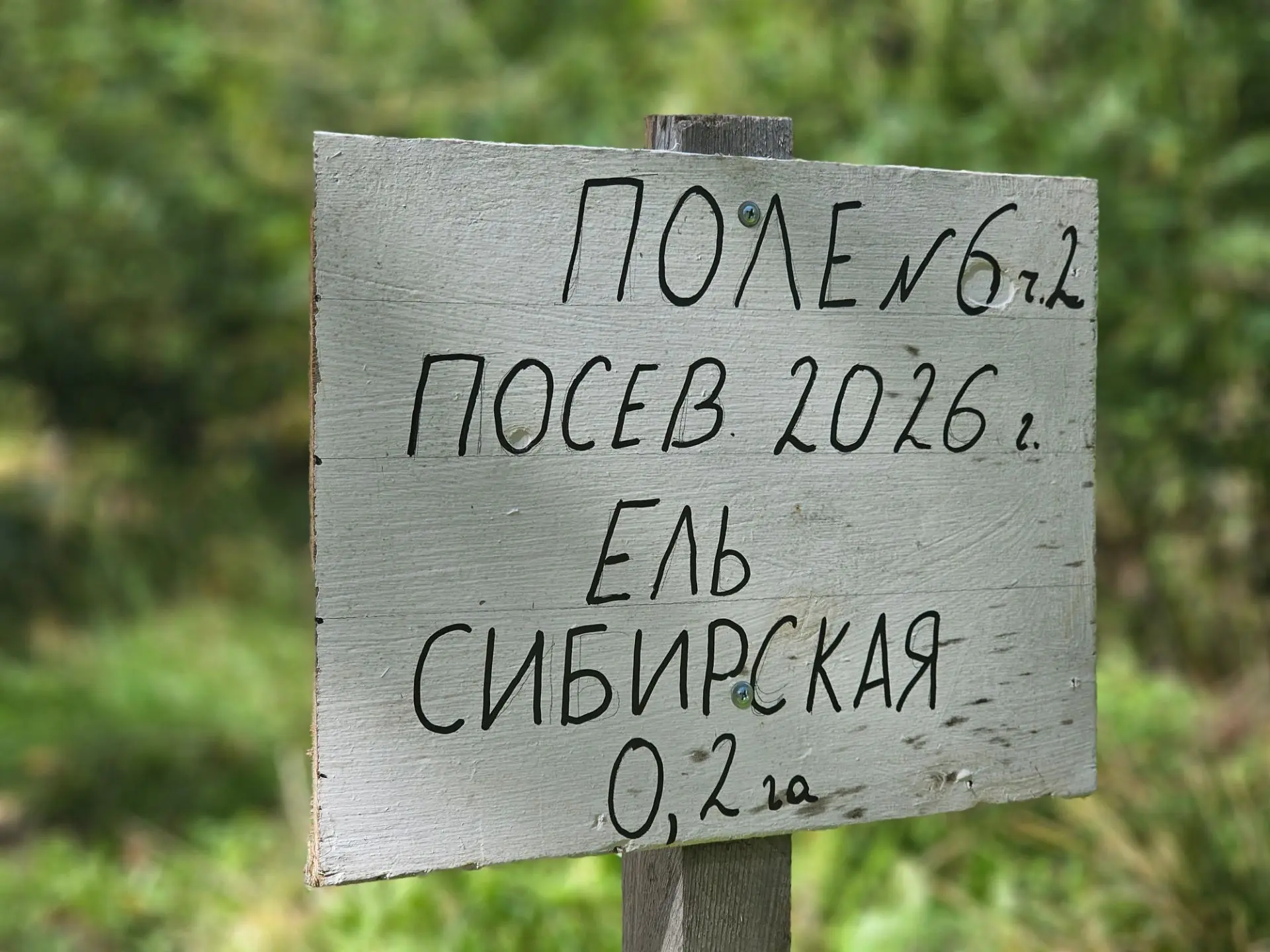 🎉 День города отметили добрым делом!