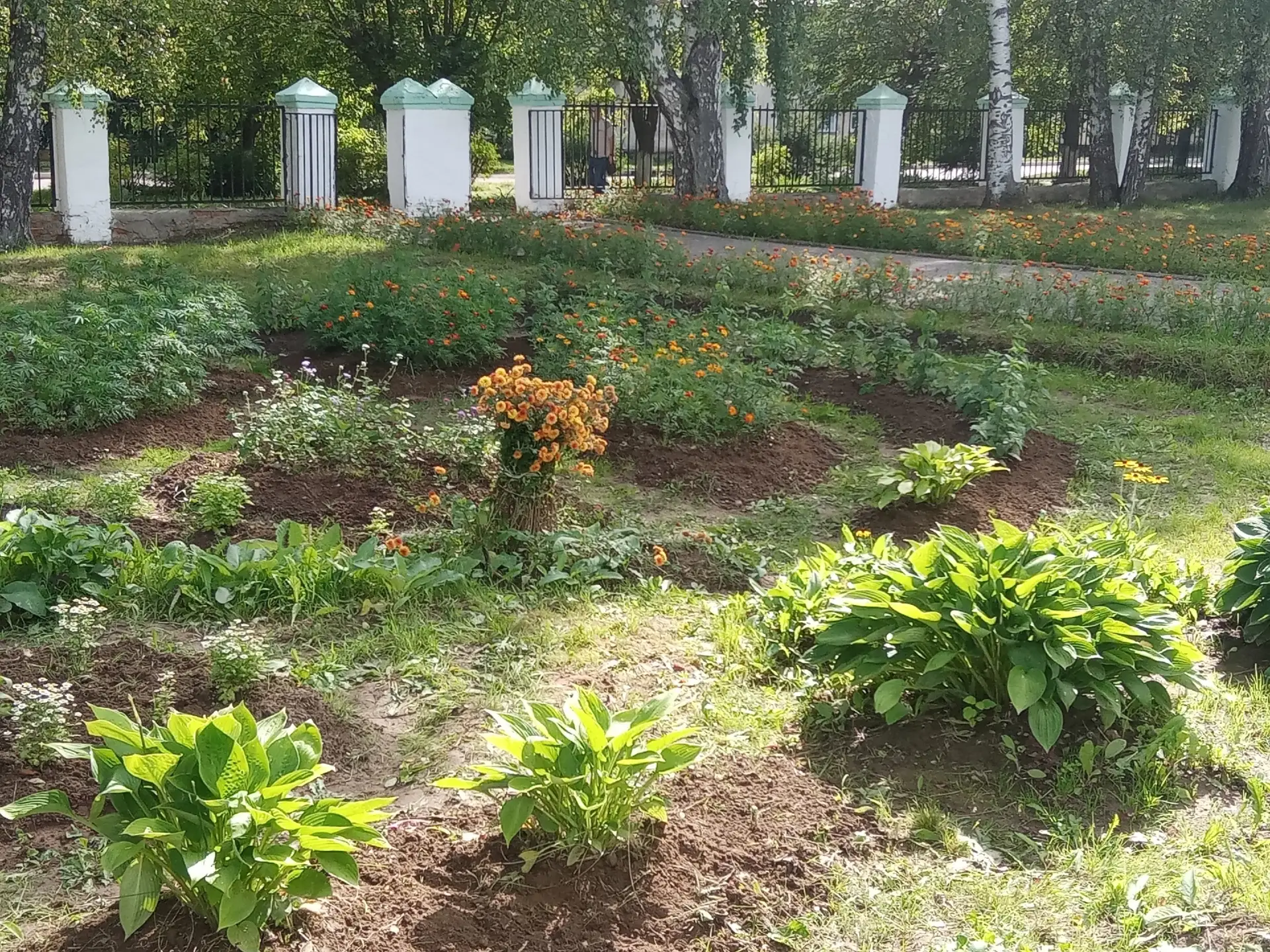 Отряд "Цветовод" завершил свою работу по благоустройству клумб у родного лицея. Погода ...