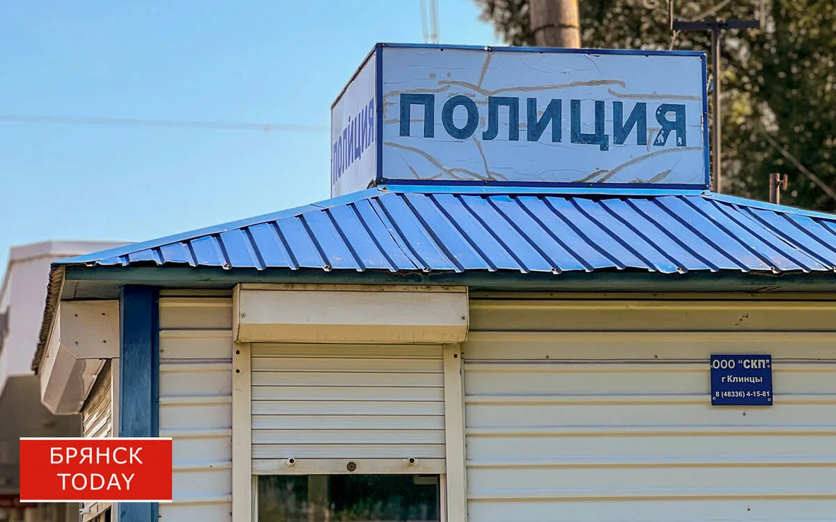 Брянские патрульные составили более 13 тысяч протоколов за семь месяцев