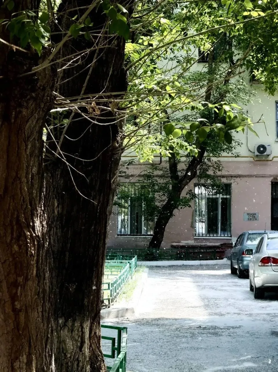 Изображение 4 к публикации «Тюмень в курсе / Новости Тюменская область: Тобольск, Ишим, Ялуторовск, Заводоуковск»