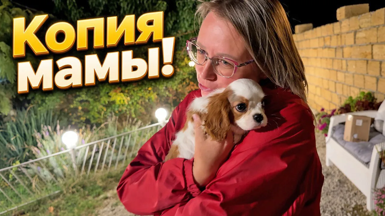 🆕 Новое видео одновременно в YouTube, VK.Видео и RUTUBE: