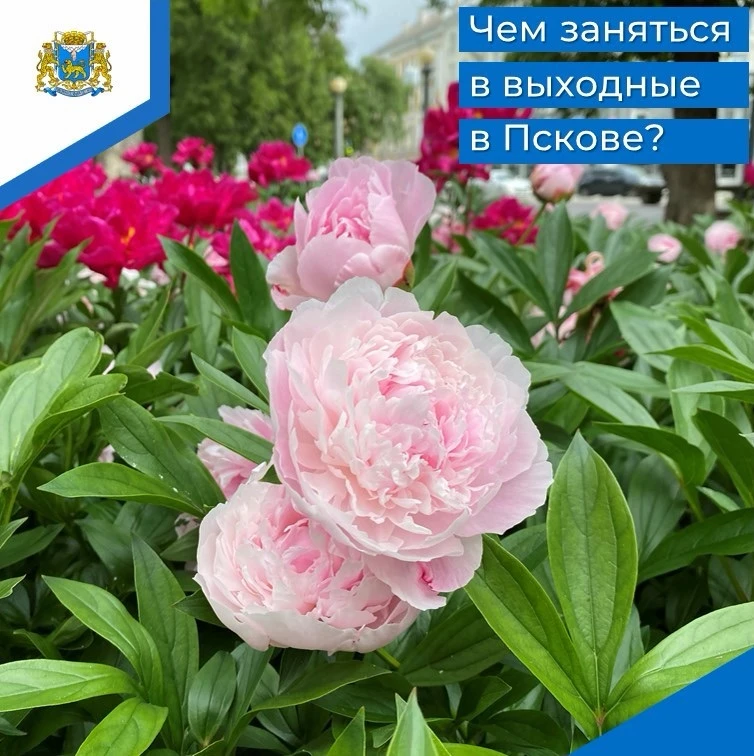 🗓️ Выходные уже на носу – а это значит, что пора выбирать, какими яркими эмоциями их наполнить! Вот