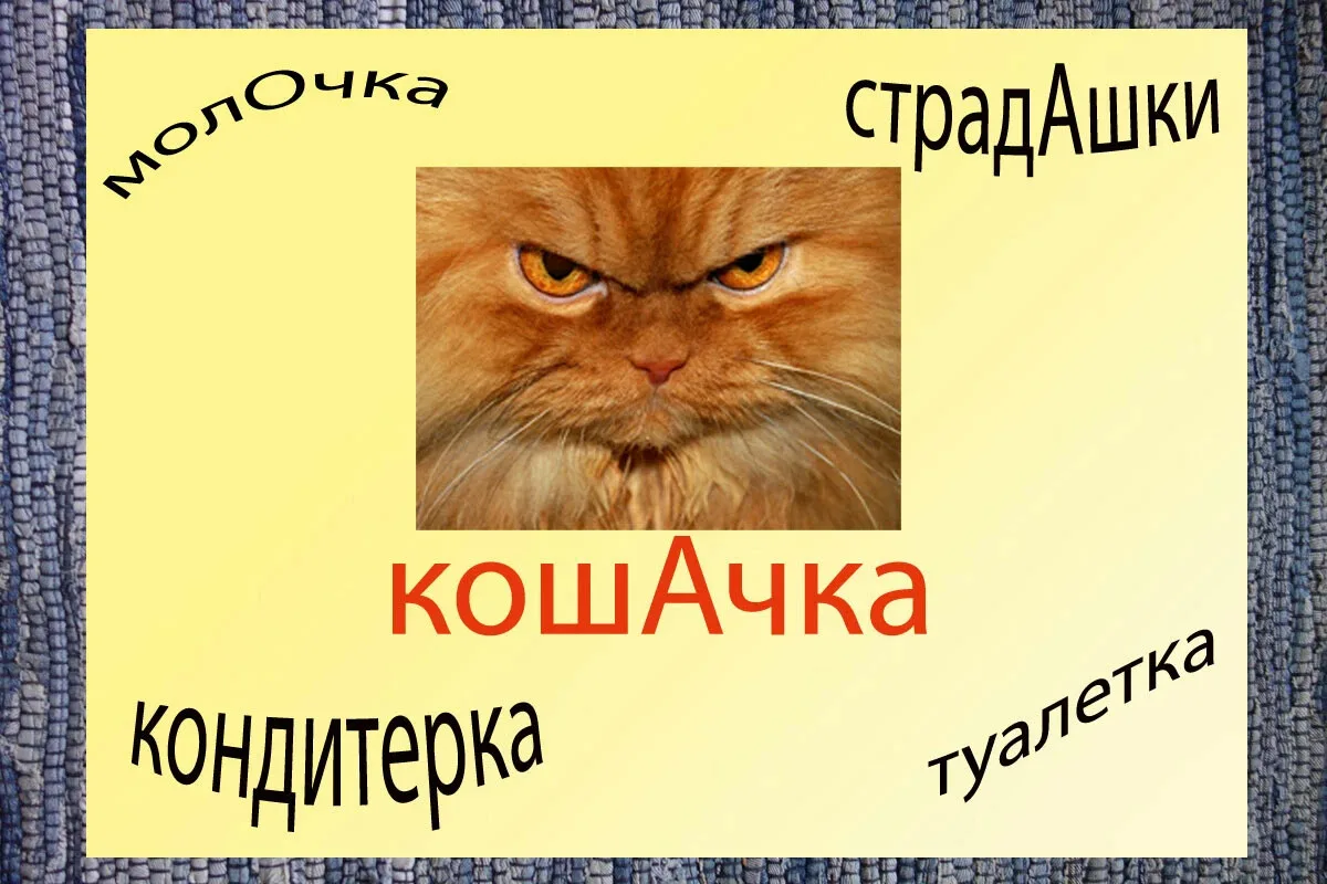 Недавно в магазине я слышала, как продавцы разговаривали: