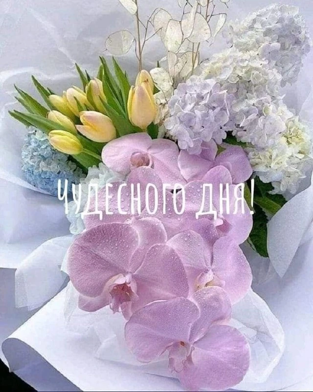 ✨Ждем ваши реакции✨
