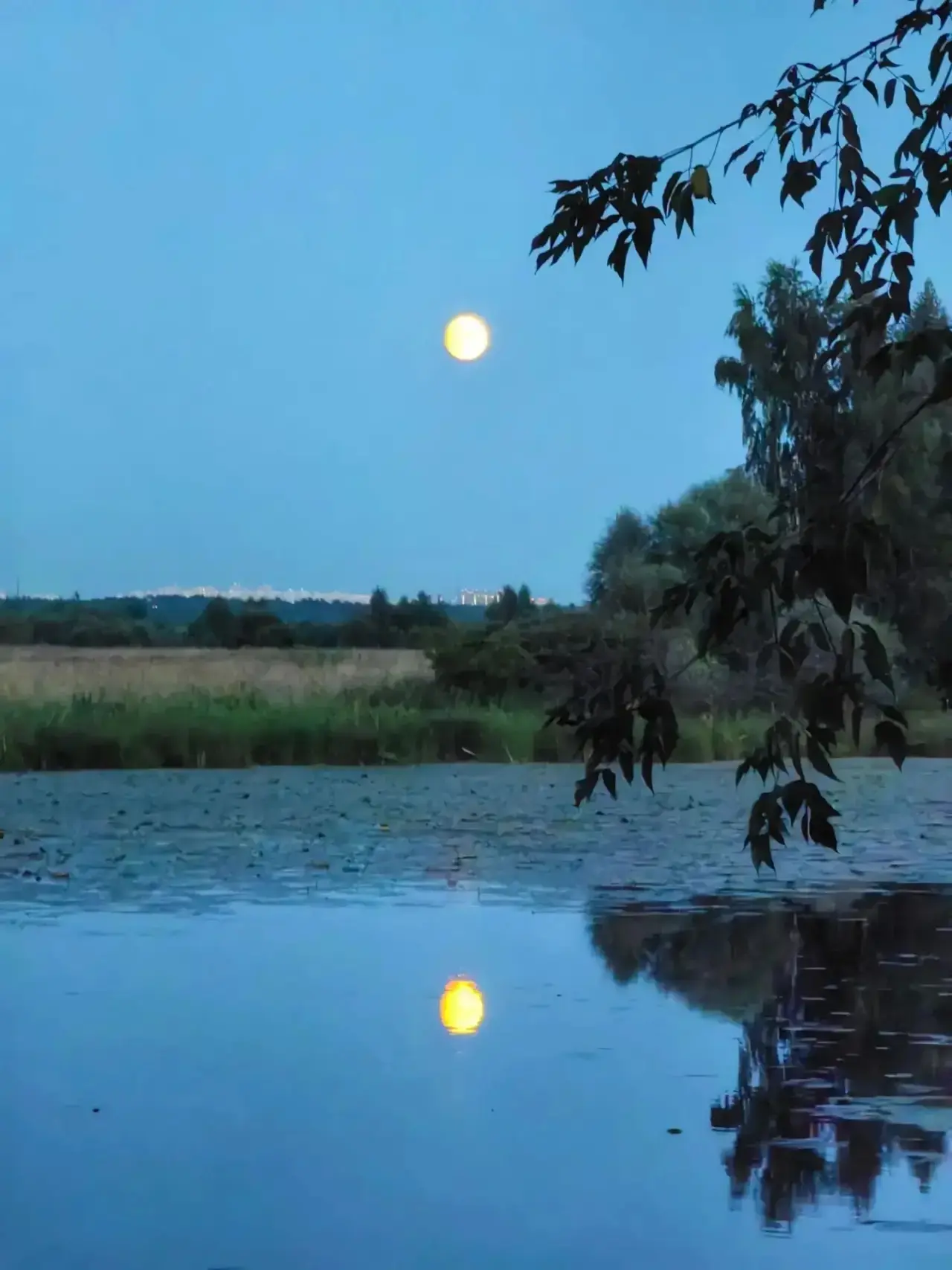 🌕 Луна над старицей

📸: Алексей Иванов

Подпишись на @ilinskoe_news в MAX и Telegram