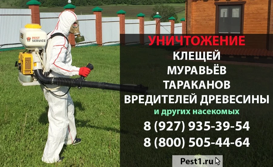 🌿 Акарицидная обработка от клещей — защита вашего участка на весь сезон!

Клещи — это не просто дис