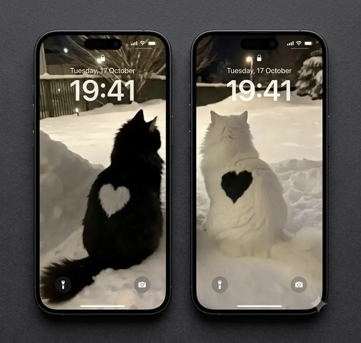 выложим после 1000❤️!!!