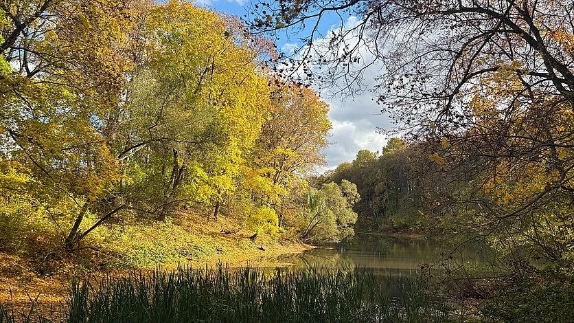 🌤 В Орловской области ожидается теплая осенняя неделя с переменной облачностью
