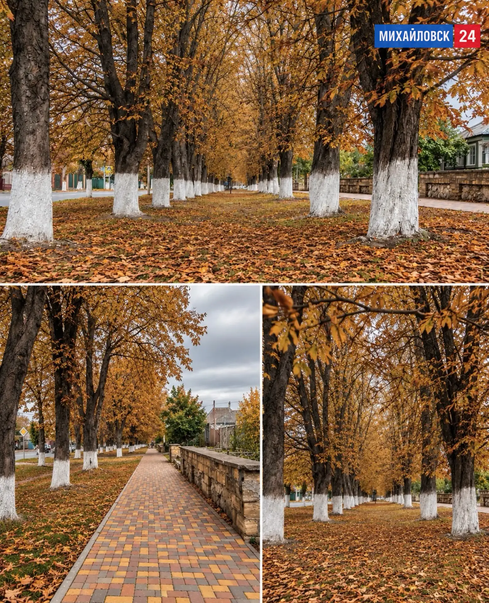 🍁 Осенняя улица Ленина в Михайловске