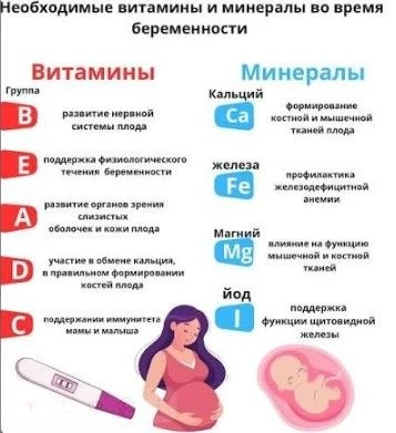 🤰 Кальций и цинк: фундамент здоровой беременности

Современные исследования подтверждают: для физио