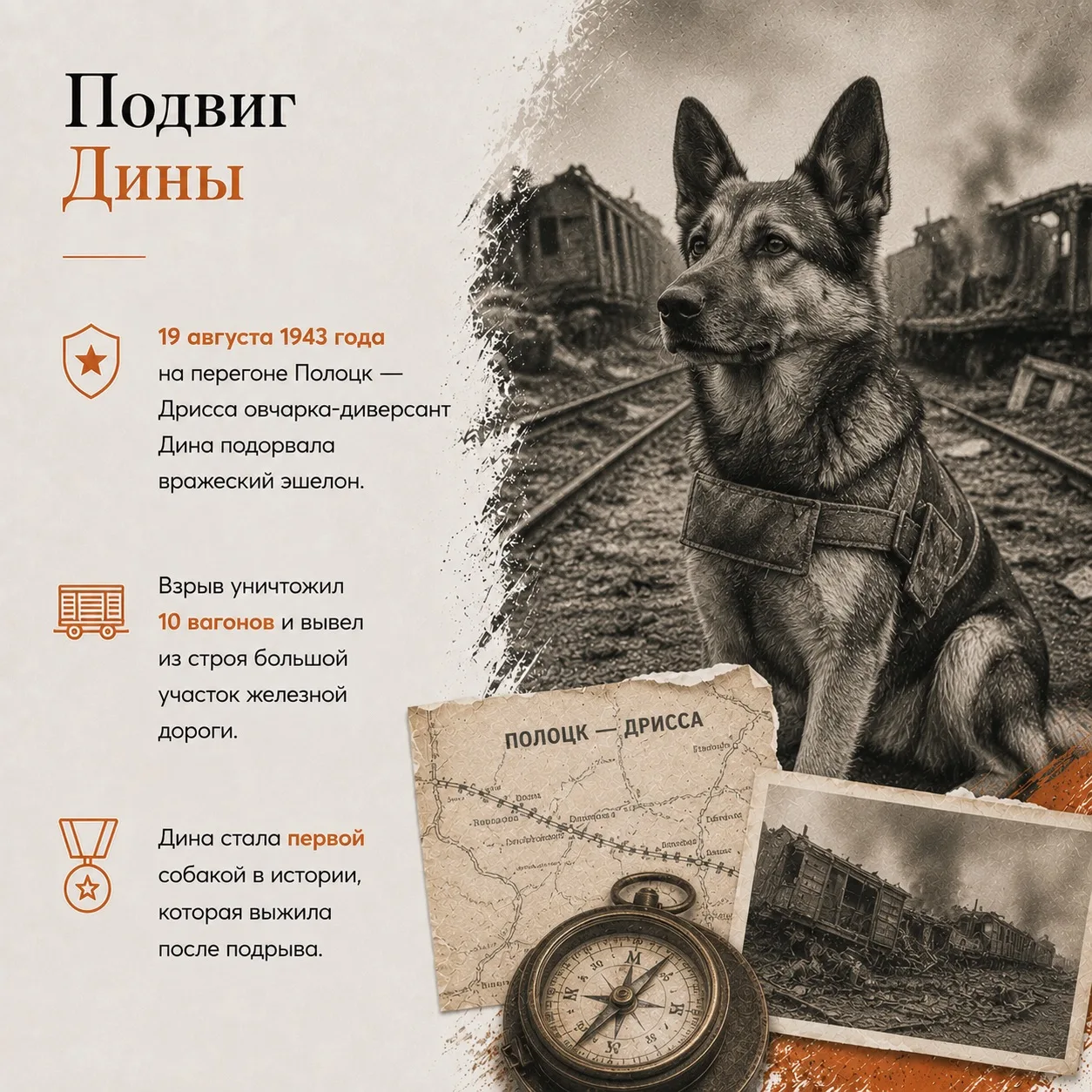 👏19 августа — День фронтовой собаки