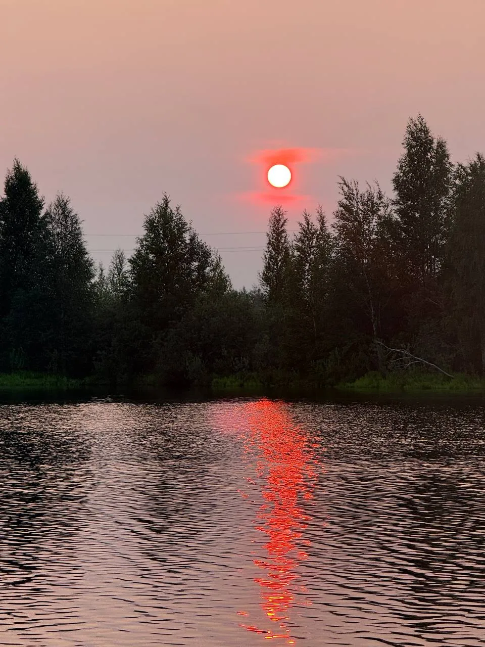 🌦☁⛅🌥 Днём в Сургуте +24°С. Ветер северо-восточный 3 м/с. Небольшой дождь.