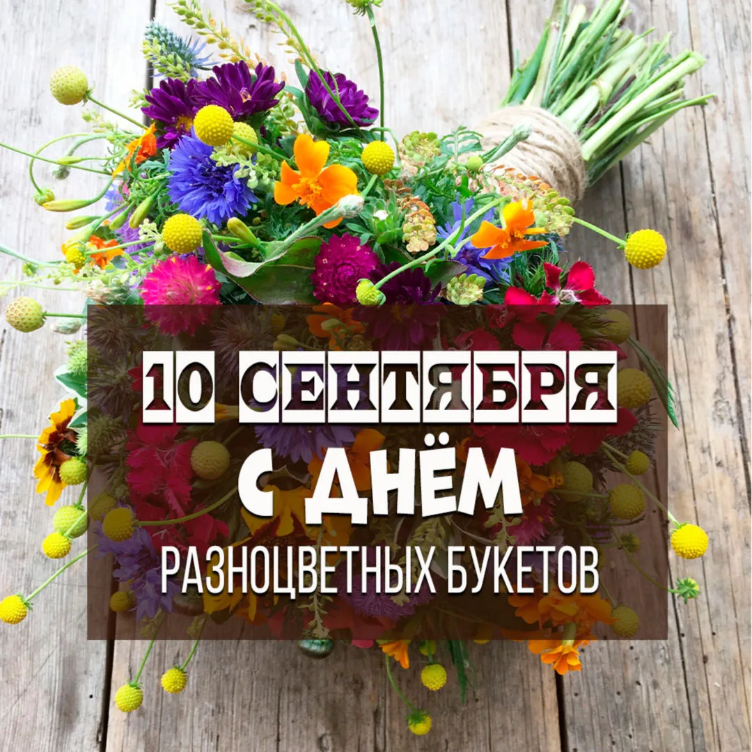 Добрый день, Адмиралтейский округ! 💓