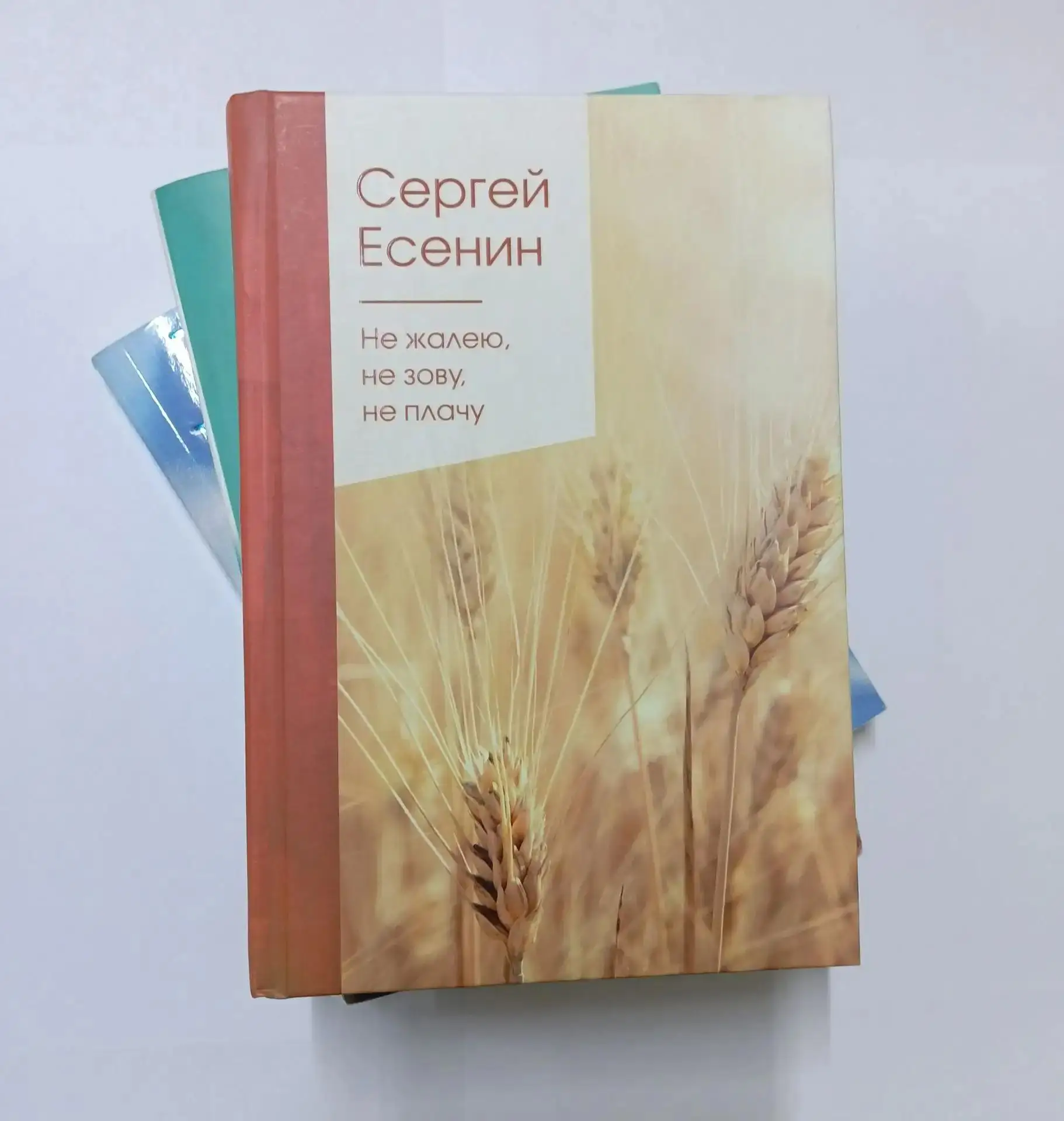В нашем учреждении поселилась самая читающая публика. Пока за окном меняется погода, наши отдыхающие