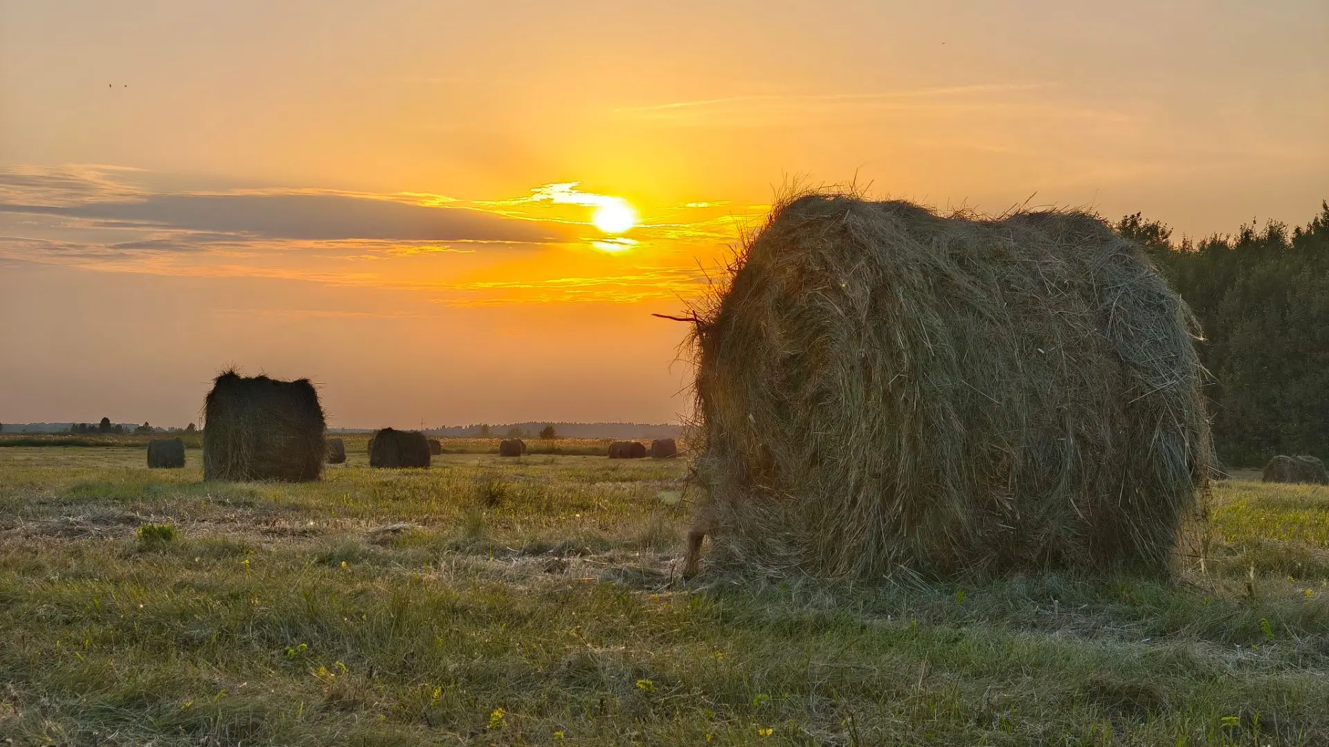 Рулоны сена у Анисимовки смотрятся живописно, особенно на закате ☀️☀️☀️