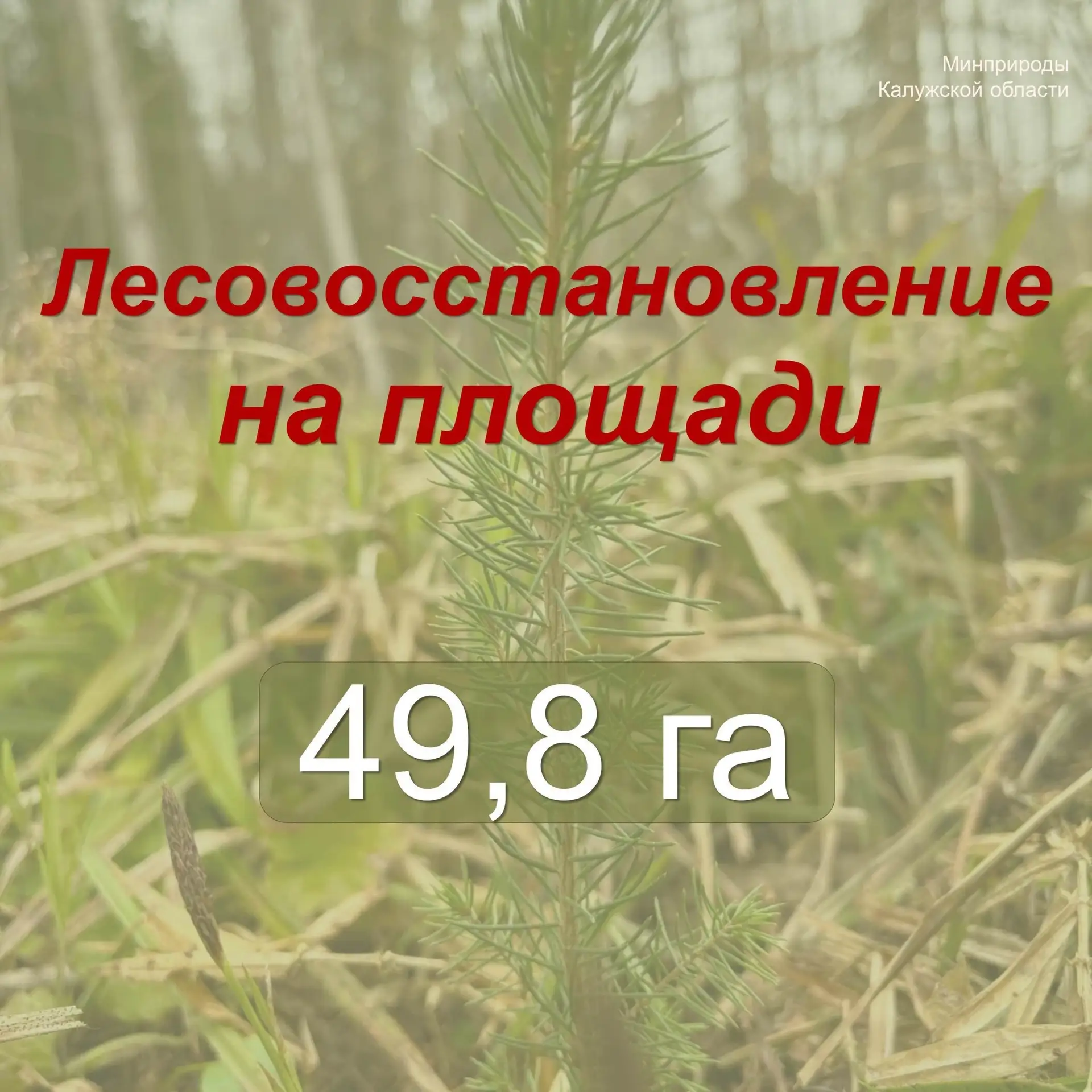 Весенний этап компенсационного лесовосстановления подходит к завершению✅