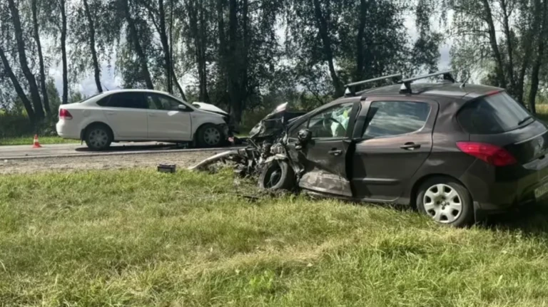 😱 Под Брянском водитель иномарки плохо себя почувствовала и разбилась насмерть