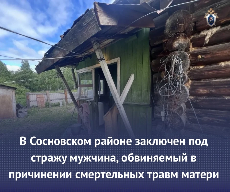 В Сосновском районе заключен под стражу мужчина, обвиняемый в причинении смертельных травм матери

С